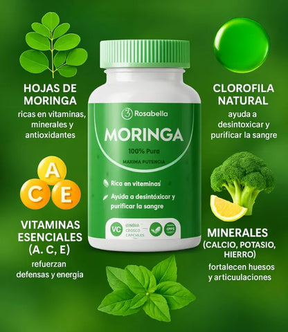MORINGA ROSABELLA